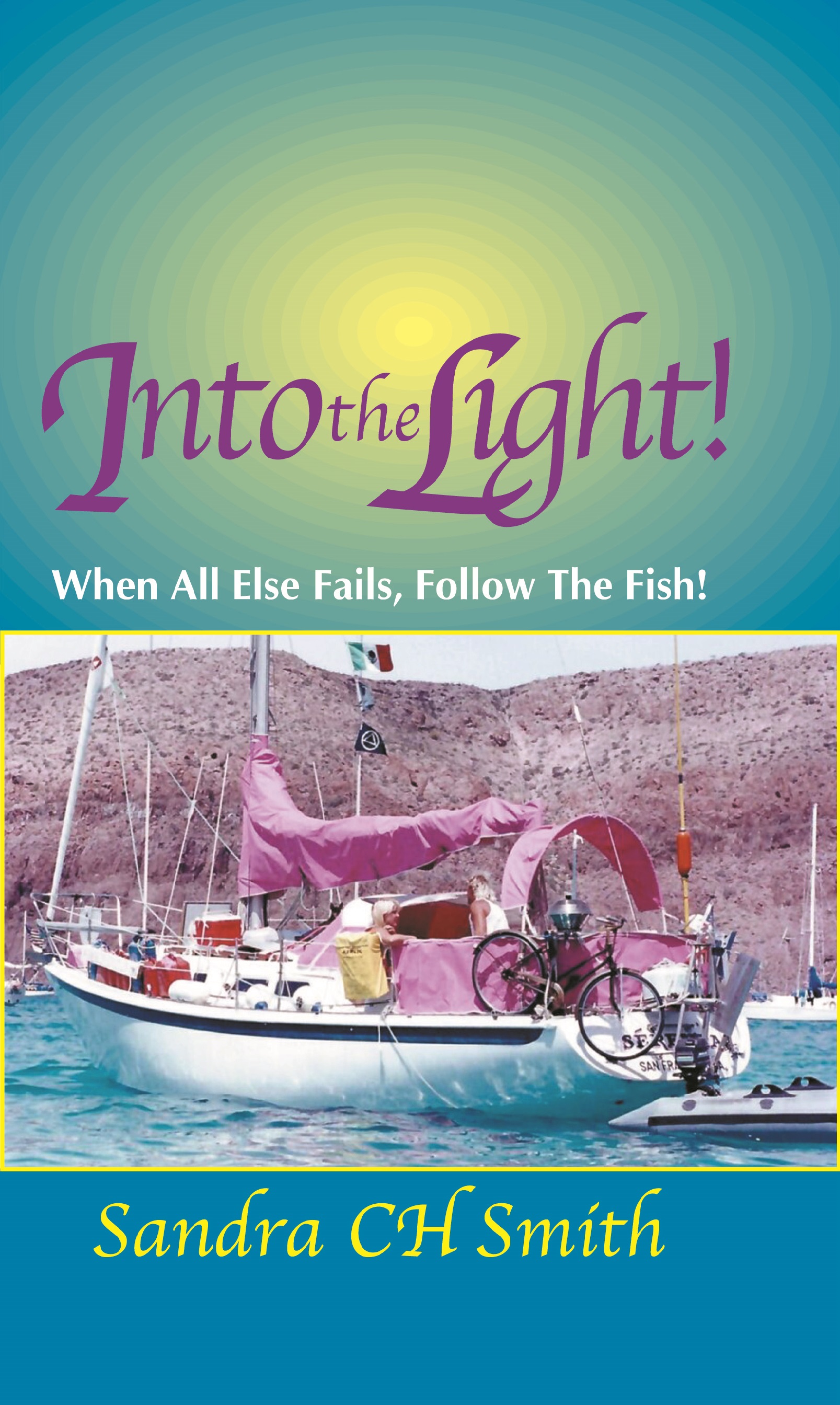 Cover of Into The Light by Sandra CH Smith