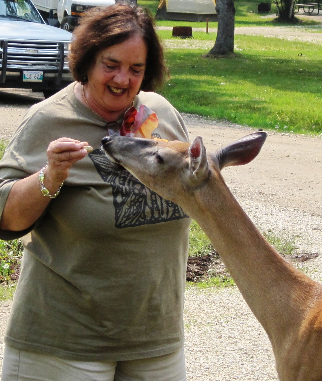 You can tell it’s Spring…the deer are awake & hungry!